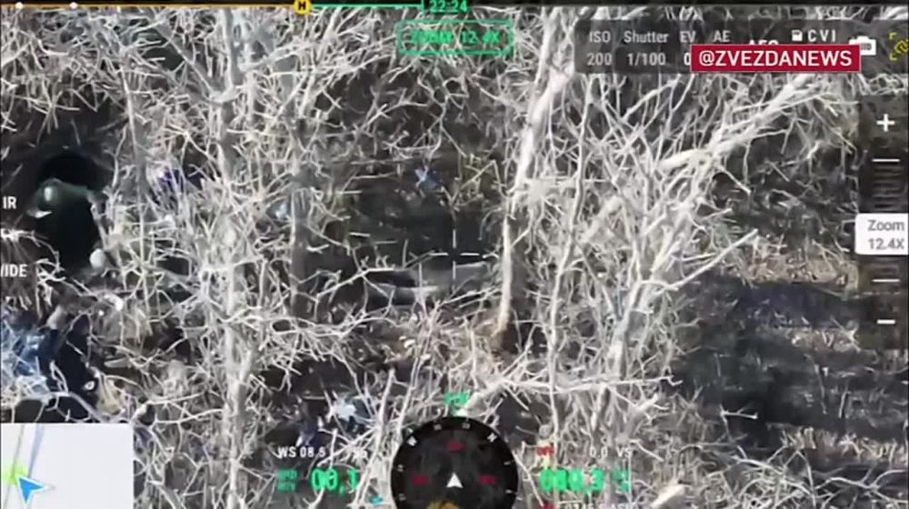 «Если больше не сдаются — кидайте туда гранату»: наши штурмовики взяли в плен украинских боевиков после взятия наблюдательного пункта ВСУ на Купянском направлении