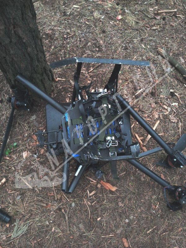 Свежий улов от гвардейцев 25 бригады прямиком с Купянского направления