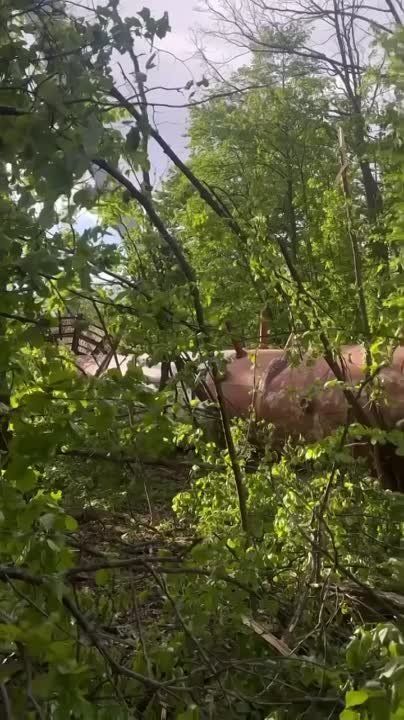 ����� � ����� ������� ���������