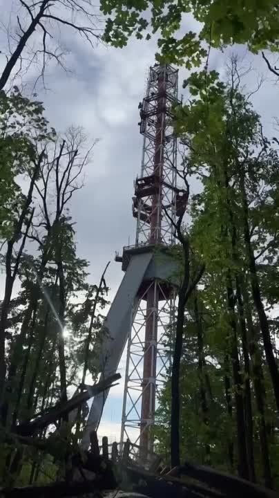 ��� ����� � ������������ �������� ������������� �������������� � ��������