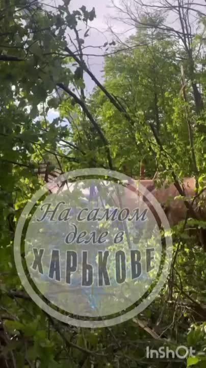 ����� � ����� ������� ������� ����� ����������� ���������