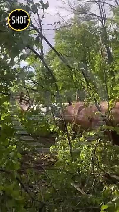 ������� ���������, ������������ � ��������