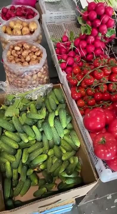 ������� ��������� � �������� �� ���� ������