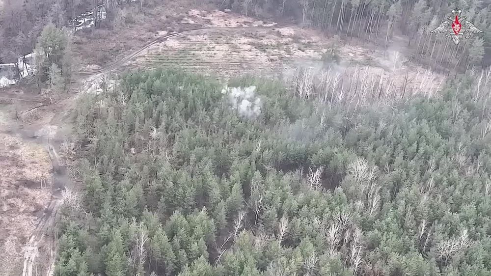 ������ �����: ������� ������ �����-ѻ ���������� �������� ������� ������� ���������� ���