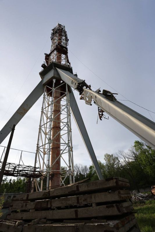 ���� ��������: ����������� ����������� ���������, �����������, ������ �����, ��� ����� �����