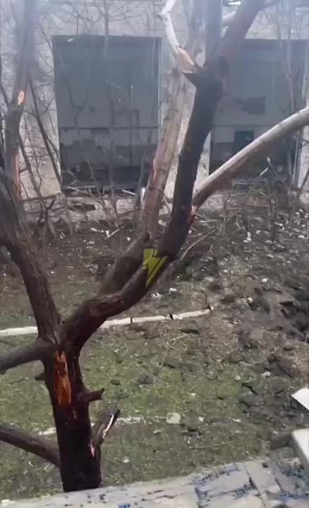 �������. ������ ����. ������� � ������ ���� ���������� ������� ��������� ���������� ���� � ������� �������� ������ ��...