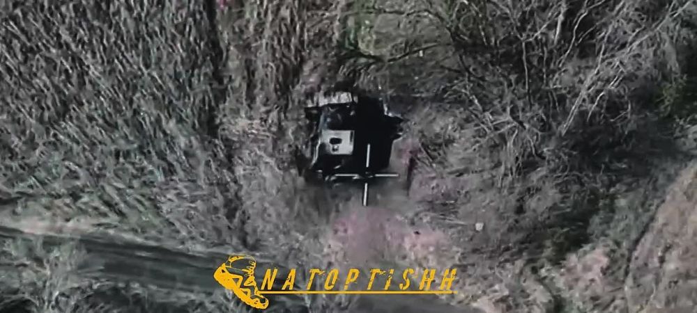 ���������� ������� � ������� ���� "������" ������ ��������������� Roshel Senator ���������� ������������ � �������� � ����������� �������, �������� @natoptishh