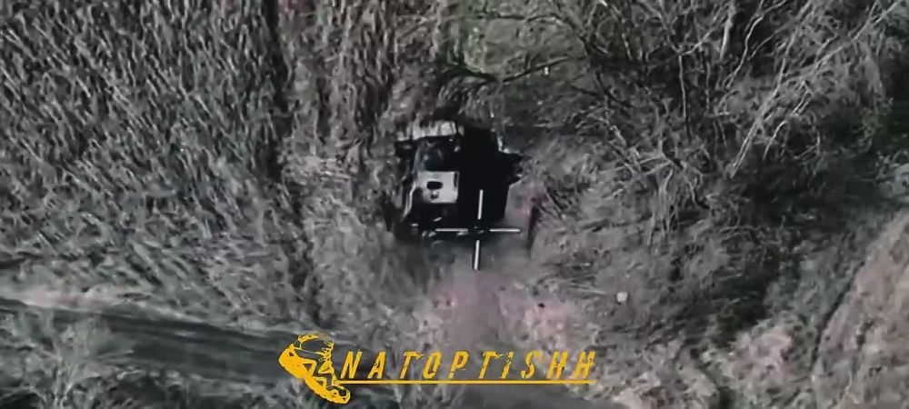 ����������� �������� ���� ������� ��������������� Roshel Senator � ����������� �������