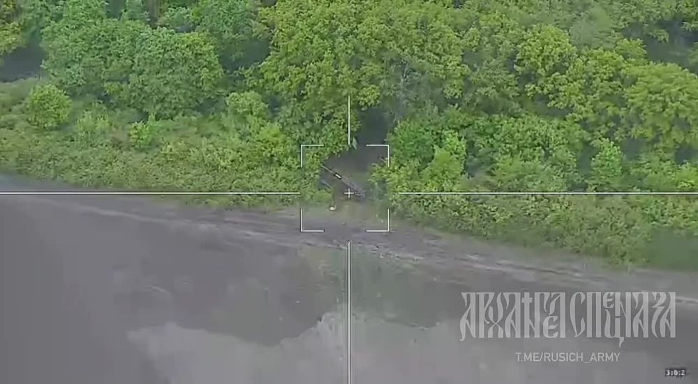 ����������� �����������, �.�