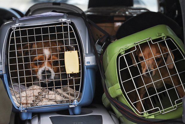 �� ������� ������ ���������� ���������� ������� � �������� ����� ���������