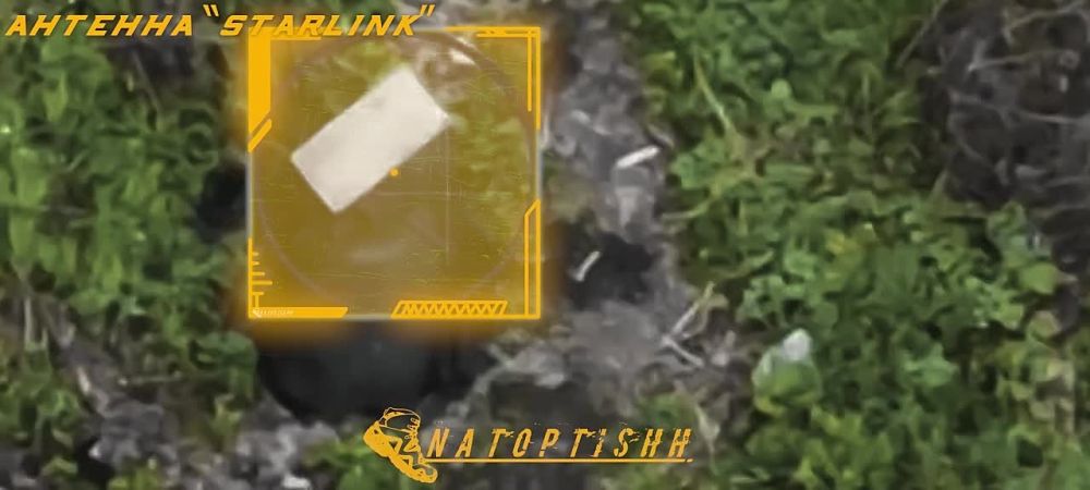 ��������� ���� ����������� ��������� ��������������� ������� ��������� ����� ����� �� ������� "Starlink"