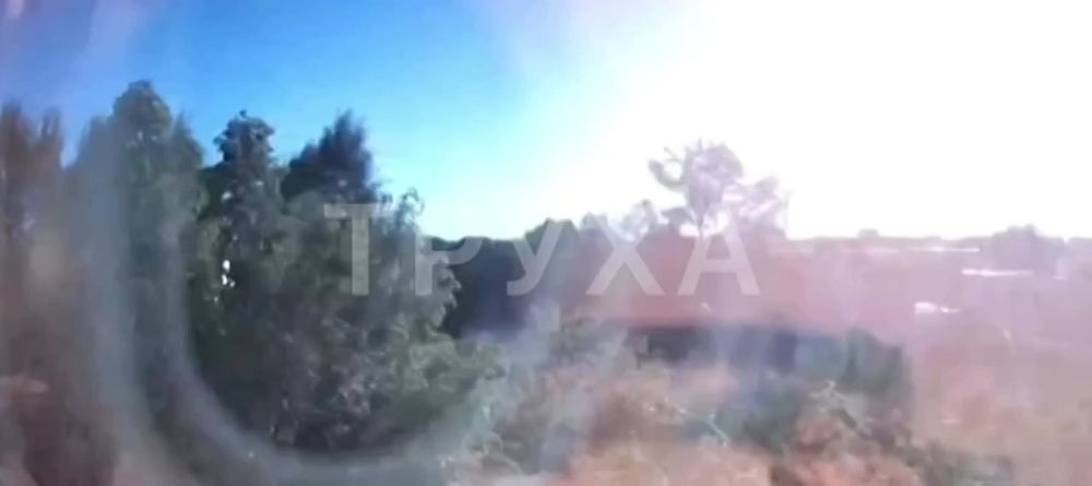 Это же явление наблюдали и в других областях