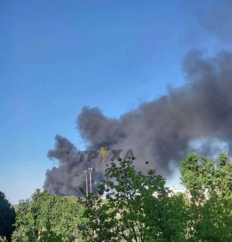 ���� ��������: � �������� ������� ����� �� ���������������� �����������