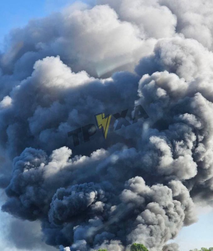 ����� �� ������ � �������� ������� �������� ����� �� ���� � �������������� ������ ��������