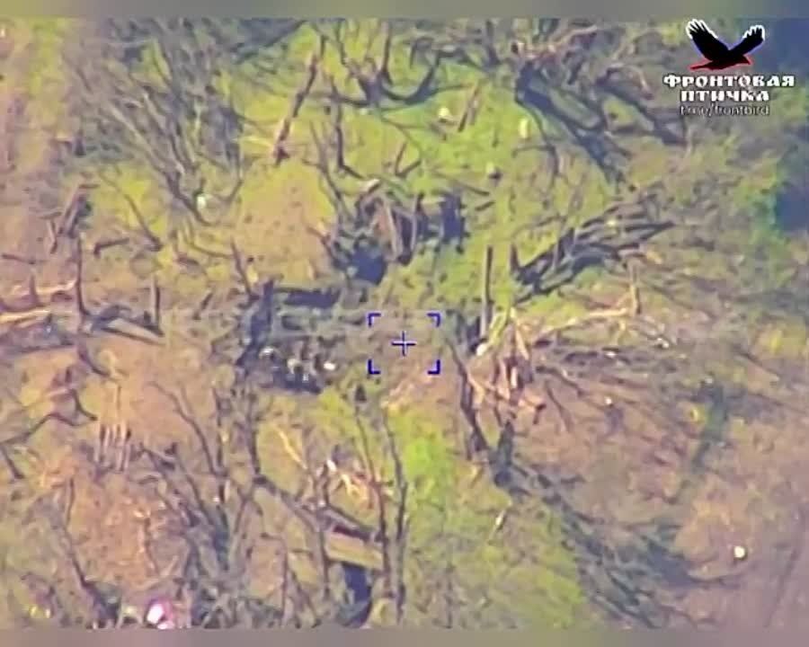 ������ ����� ���-250 �� �������� ������ ���