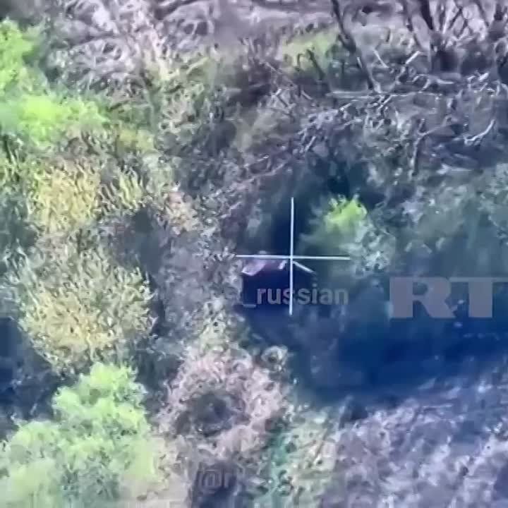 ��������� � ��������� �� ��������� �����������