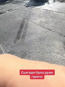  :         ,            
