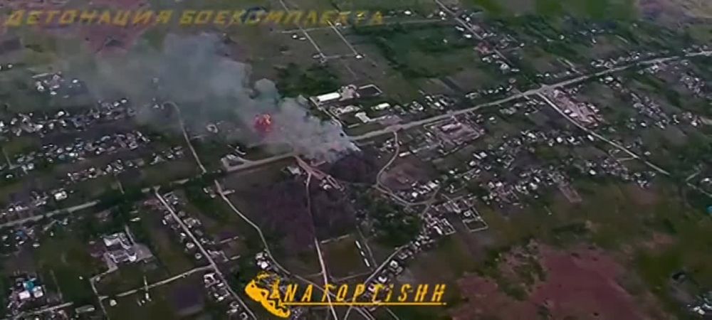 ���������� ������� ���������� ������� ���� Vampire ��� � ����������� �� ������� � �������, �������� @natoptishh