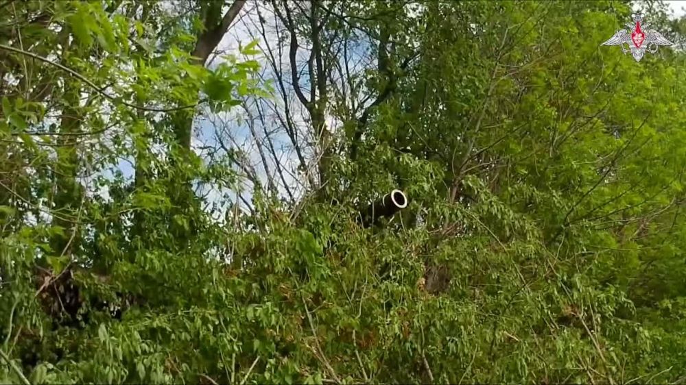 Из сводки Министерства обороны Российской Федерации о ходе проведения СВО