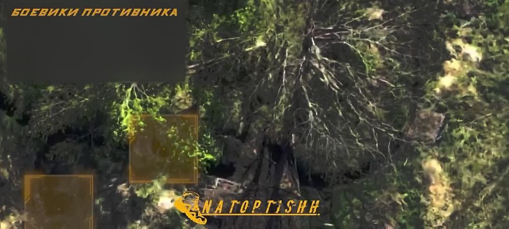 ��������� ������ ����� "�����" ���������� �� ��������� ������ ���, �������, ����������� �������