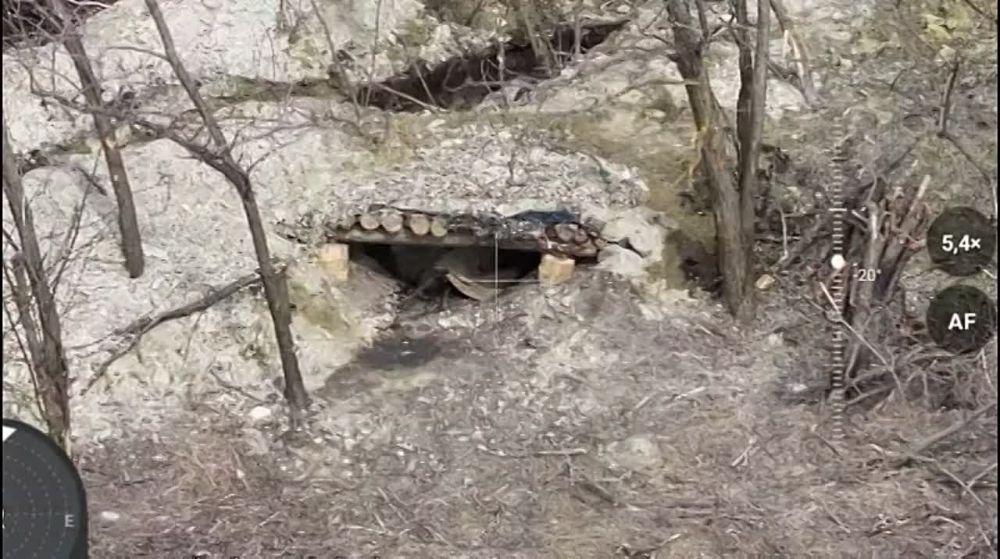 ����������� ����������� ������� ��� ��� ������ ������ FPV-�����