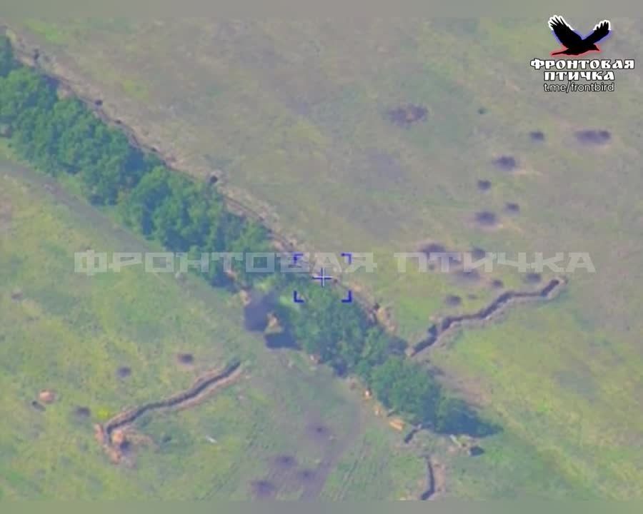 ���������� ����������� ��� ���������