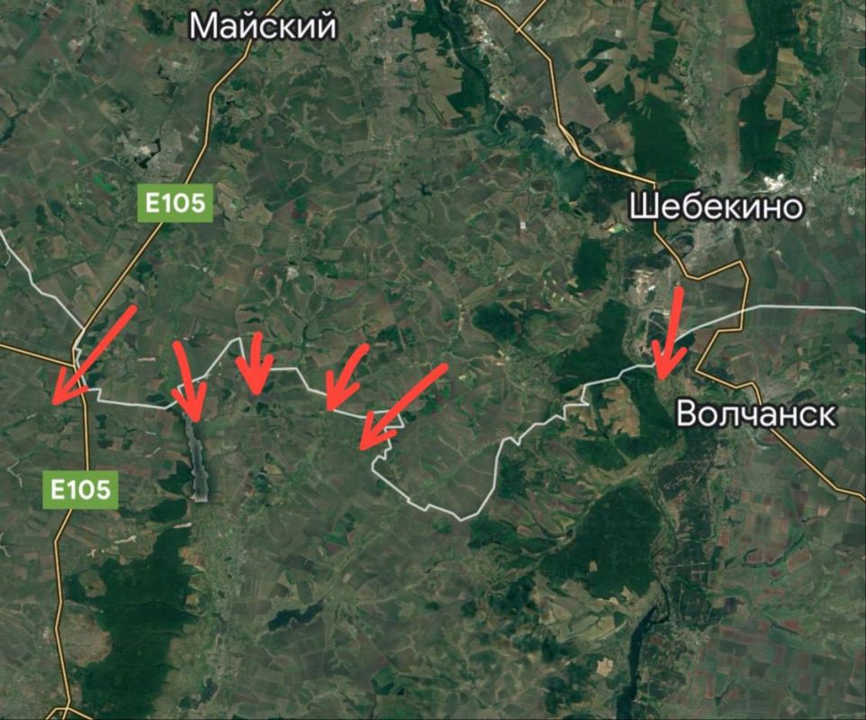 ����������� �����������