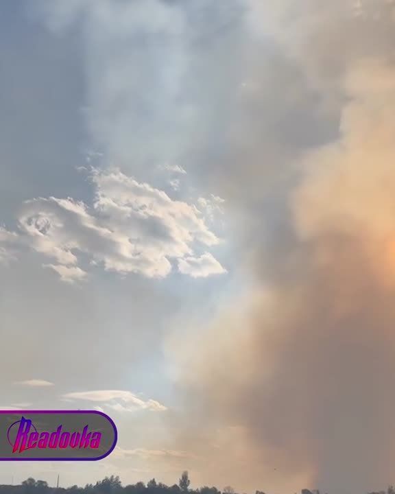 � ������������ ������� ����������� ������� ���� ������������ ���: ������� ������ ������� ������� � ������������� ��������� ������� �������� ���