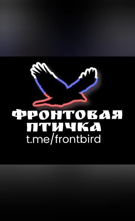 ������� ���� �� �����: ������� ������������ ����������� ������������ ������� ����� � ����������� �������