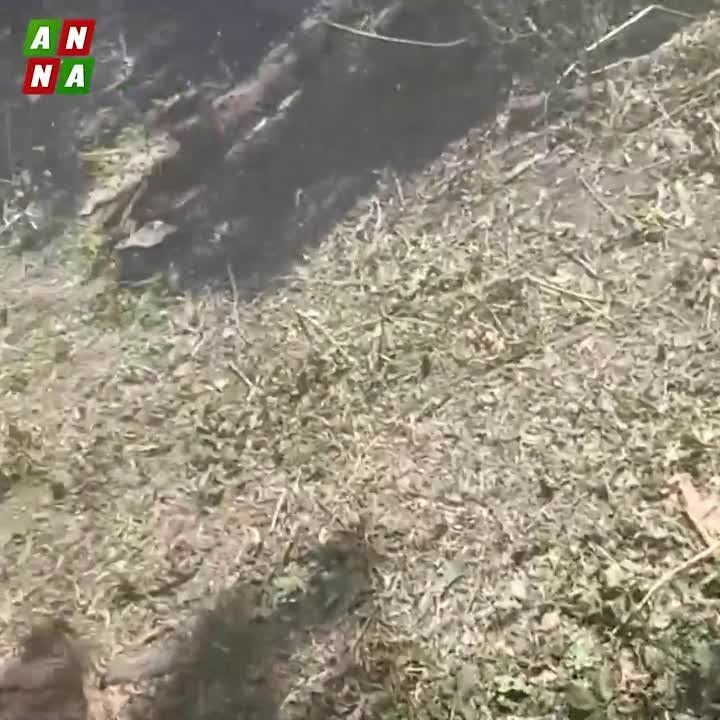 ���������� ������ ������������ � ����������� �������, ���������� ������������ ���������� ��