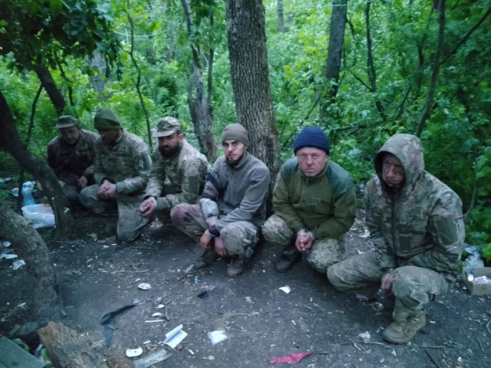 ����� ������� �������� ��� � ������������ �����������