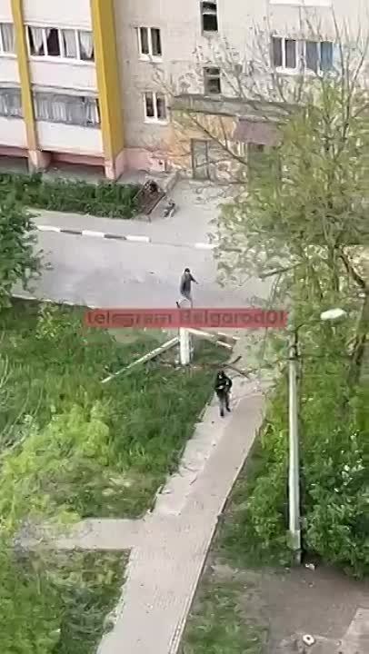 ��� ���� �� ��������� ������������ � ����������� �������� ���������� ����������� ������� �����