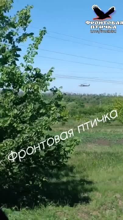 ������������ ����� ������ ������ ����� ����������