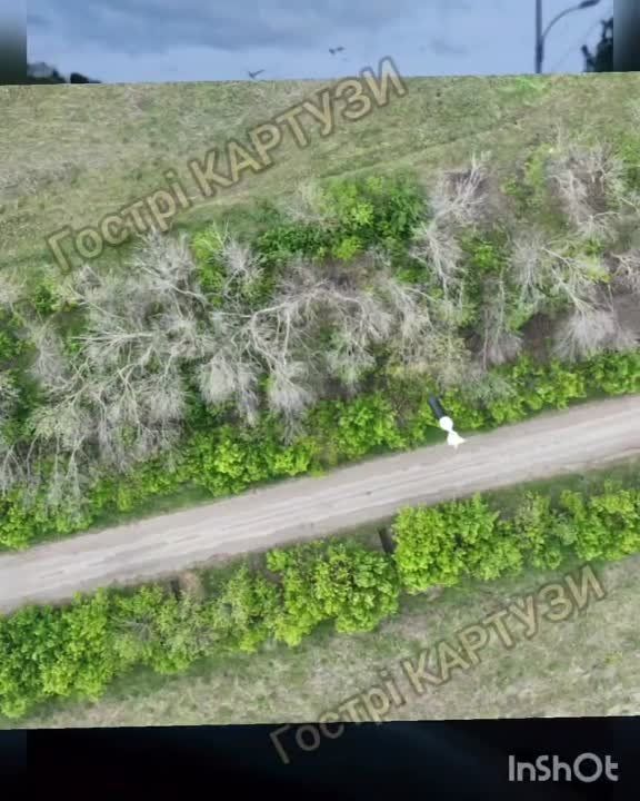 ����� ������ ��������: ������� �������� ��������, ��� ������ � ���� ������� �� ����������� � �������� ������� "������ ��������"