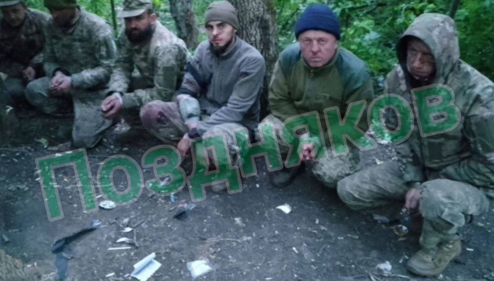 ����� ���� - ����� ������ ������� � ������������ �����������