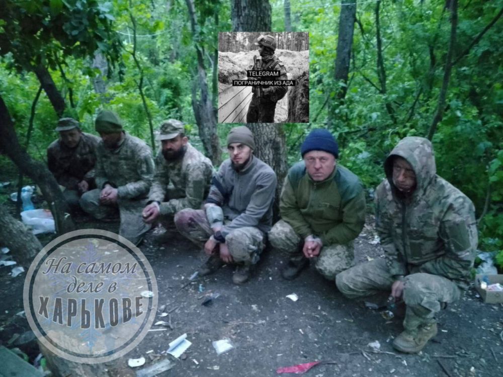 ��� ������ �������. #����������� #�������������������� #������� #����� #Kharkiv #�������� #������� ��� ����� | ��� ��� | ��� ���