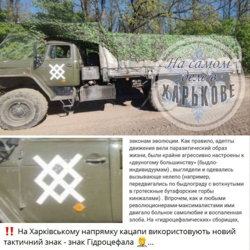 ��� ��������. ���������� ������������� ������ �������� ����� ����������� ����, ������� ���������� �� ��. �������� �����-��...