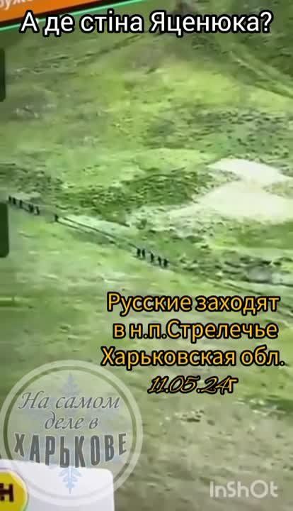 "��� ��� �������". ����� � ����������� ���������� ������. ������� ������������, ��� ���� ������ ��������� ����� ����� � �.�. ���������