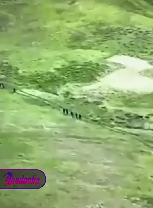 ����� ������ ������� ����� � ��������� � ����������� ������� � ���, ��� ��������, ������ �� ����� ������� � ������������ �� ��