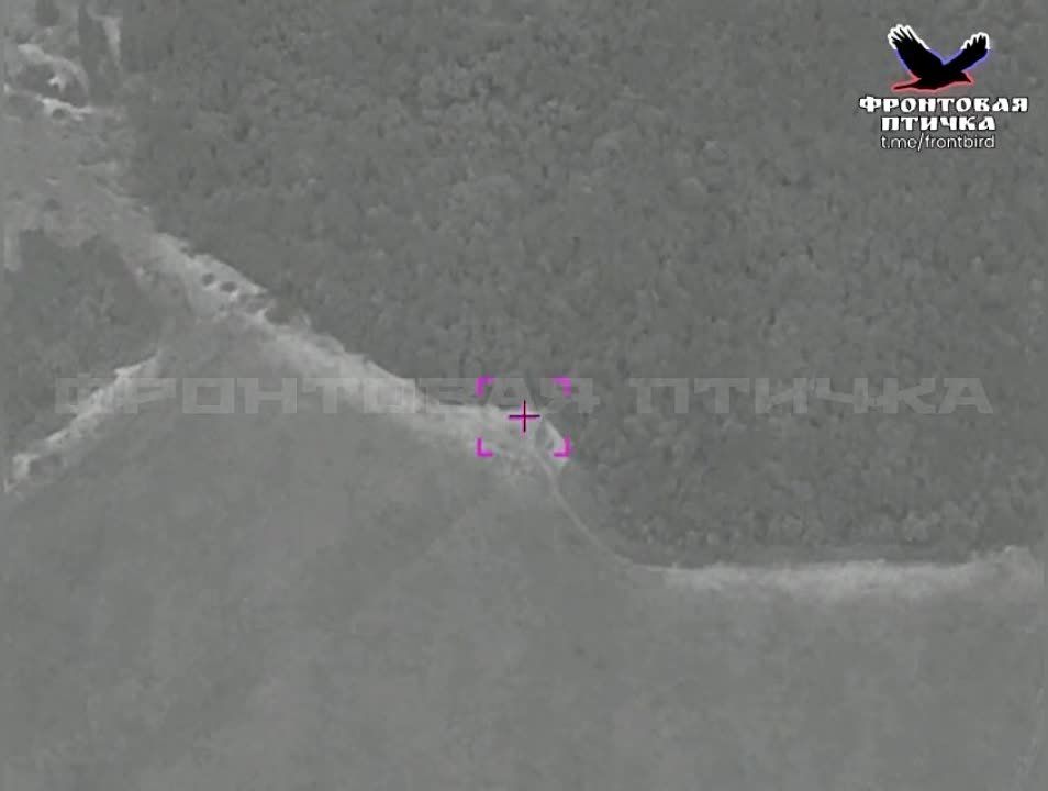 ����������� ����������� ��� ��� ��� ����������! ����������� �������