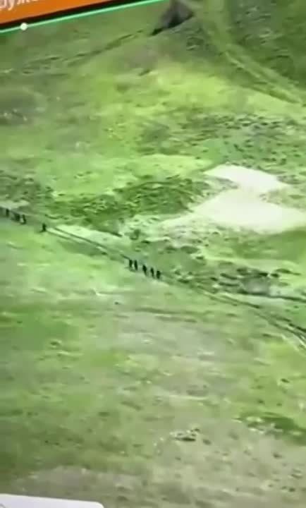 ���� ��������: ����������� �� �� � ����������� �������