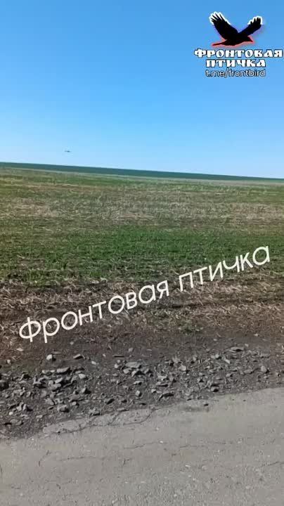 ����� ����� ������ ������ ����� ����������