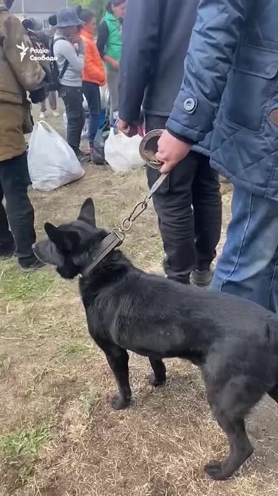 ���������� ��� ������������ ���������� ��� � ��������� ��������� ��������� ����������� �������