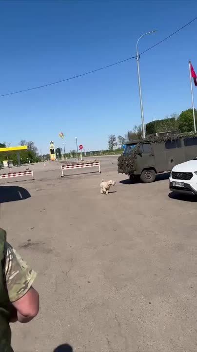 Российские военные снимают момент поражения бронеавтомобиля "Урал" украинским FPV - камикадзе, оператор которого сначала выбрал цель, зависнув над местом