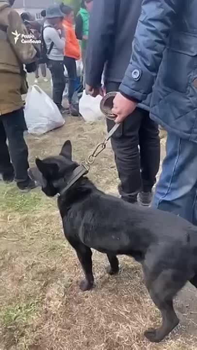 ��� �������� ���������� � ���������