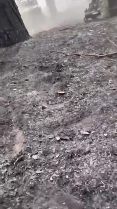 ������� ������� ��������* � ����������� ������� ������ � ���� ���