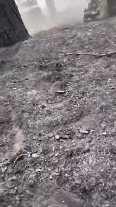 ������� ����������������� ������� ��������* � ����������� ������� ������ � ���� ���