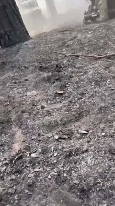 ���� ��������: ����������� ����������� ��� �� �� ������� ����� �������� ���������� ����������� ����� �� ��������� � �������