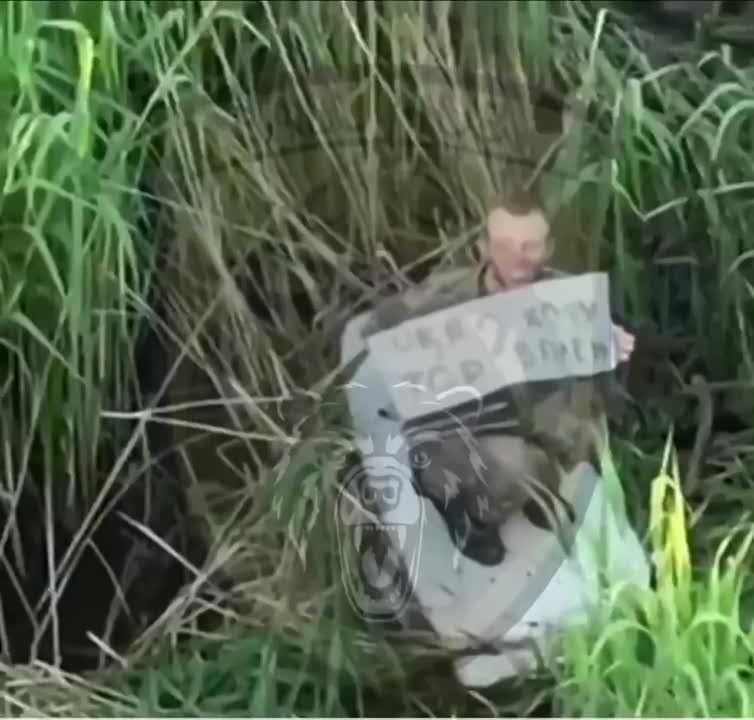 � ����� ��� �����.. ��� ������ "���������� ������" ���������� � ����������� �������� � ������? ���������, ������ ������� ��� ������� ���� �������, ������ � ����� "��� � ���. ���� � ����"