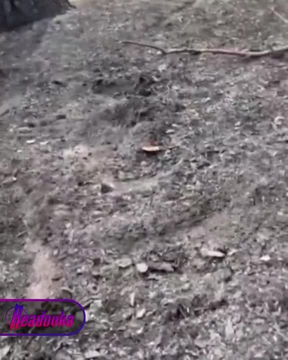 ���� �� ��������� � ���������� ������� � ���� ����������� �� �� �� ����������� ������ ������� ������������ ����������� ���, ������������ � �������